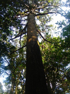 2008-2-29 026.jpg
