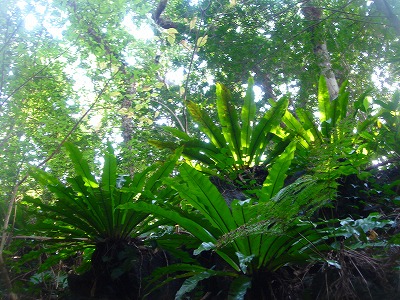 2008-2-29 030.jpg