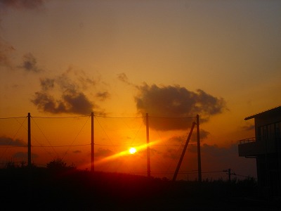 2008-3-1 030.jpg
