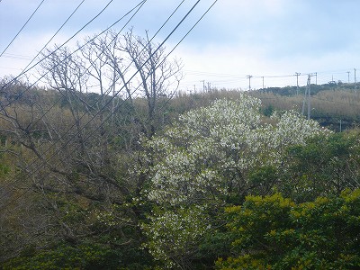 2008-3-29 008.jpg