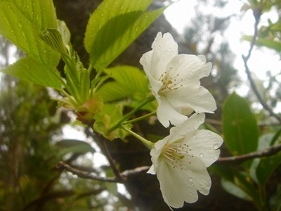 2008-3-30 005.jpg