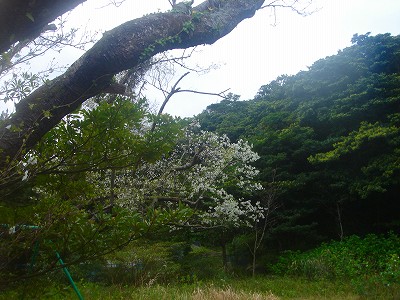 2008-3-30 008.jpg