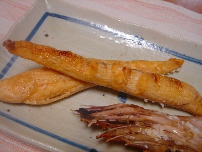 2008-4-10 028.jpg