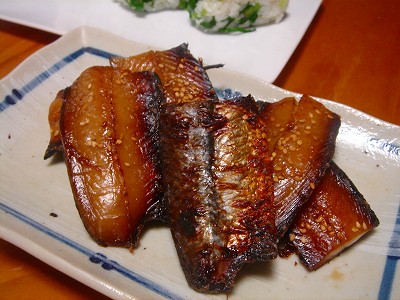2008-4-18 037.jpg