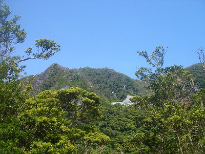 2008-4-2 014.jpg