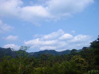 2008-4-2 024.jpg