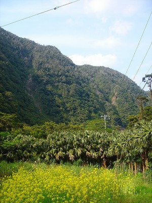 2008-4-2 025.jpg