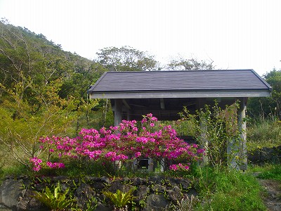 2008-4-22 010.jpg