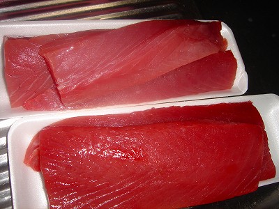 2008-4-25 009.jpg