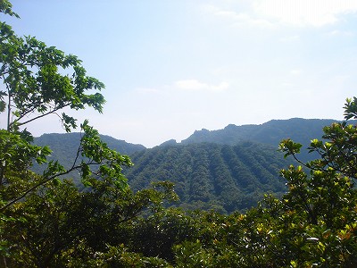 2008-4-25 015.jpg