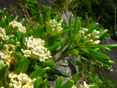 2008-4-25 018.jpg