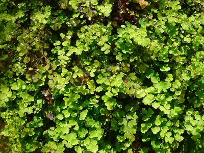 2008-4-25 026.jpg