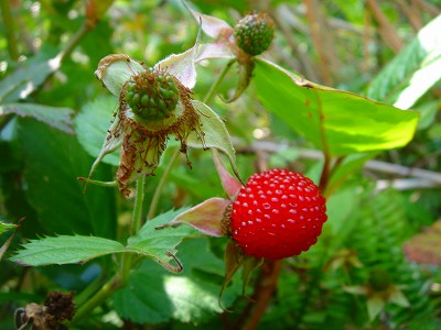 2008-4-25 040.jpg