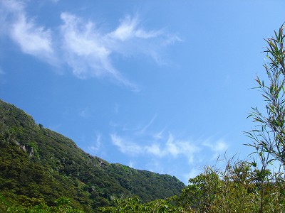 2008-4-25 041.jpg