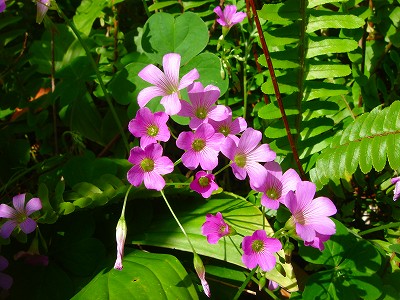 2008-4-25 042.jpg