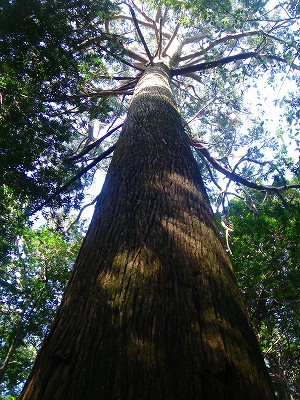 2008-4-25 047.jpg