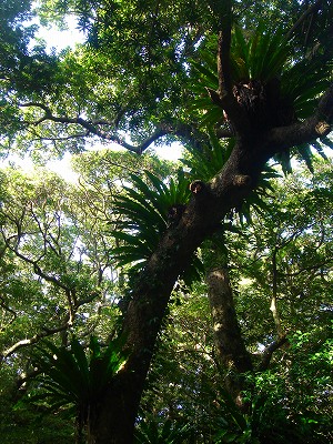 2008-4-25 047.jpg