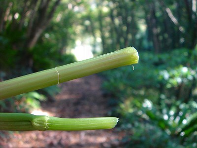 2008-4-25 068.jpg