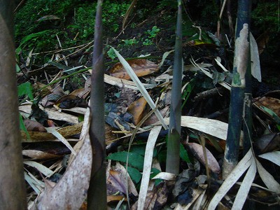 2008-4-25 072.jpg