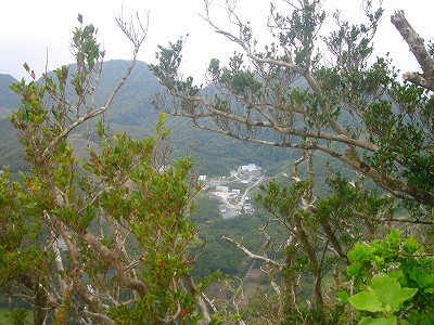 2008-4-26 013.jpg