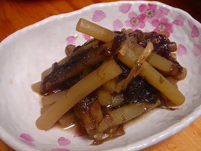 2008-4-27 004.jpg