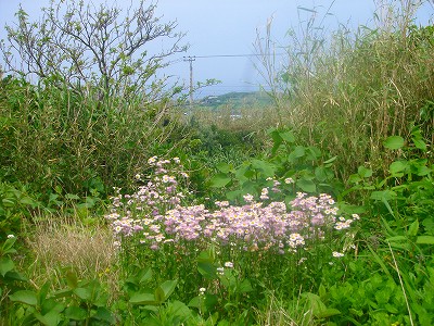2008-4-28 002.jpg