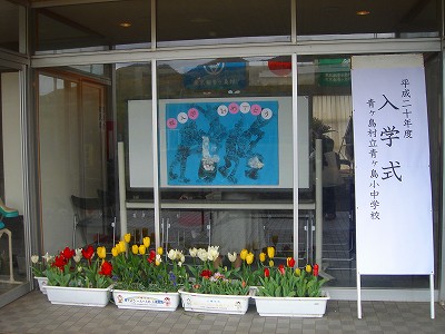 2008-4-7 001.jpg