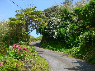 2008-5-3 058.jpg