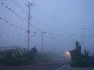 2008-5-3 066.jpg