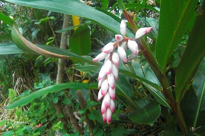 2008-6-30 020.jpg