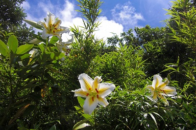 2008-7-10 003.jpg