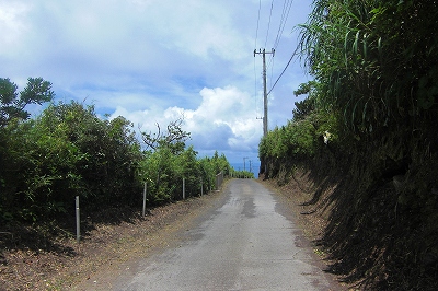 2008-7-10 004.jpg