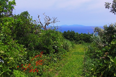 2008-7-11 006.jpg
