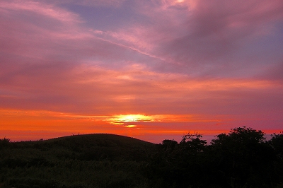 2008-7-12 009.jpg