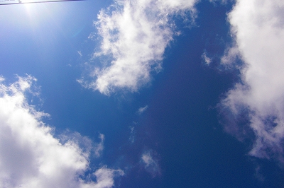 2008-7-2 030.jpg