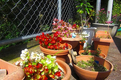 2008-7-2 032.jpg