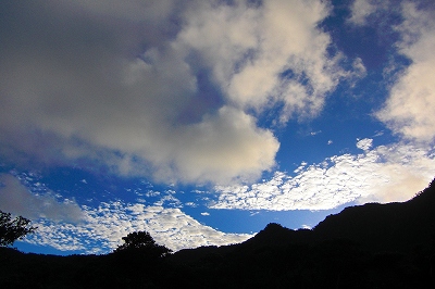 2008-7-26 019.jpg