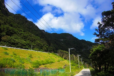 2008-7-27 007.jpg