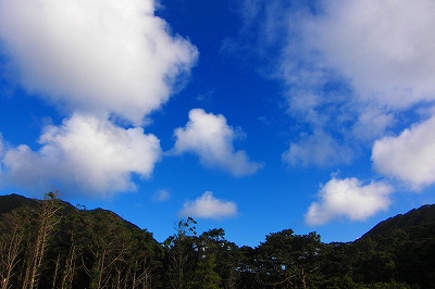 2008-7-27 009.jpg