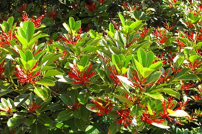 2008-7-6 035.jpg