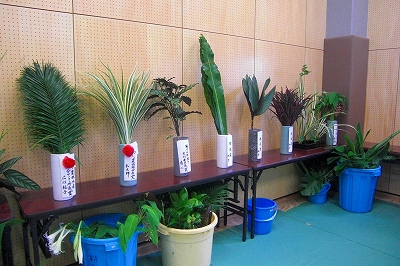 2008-8-10 073.jpg
