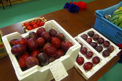 2008-8-10 077.jpg