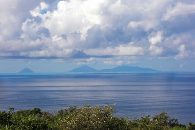 2008-8-10 069.jpg