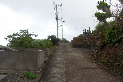 2008-8-16 002.jpg