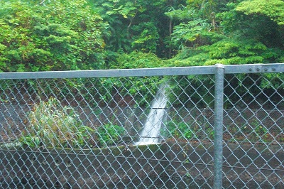 2008-8-16 053.jpg