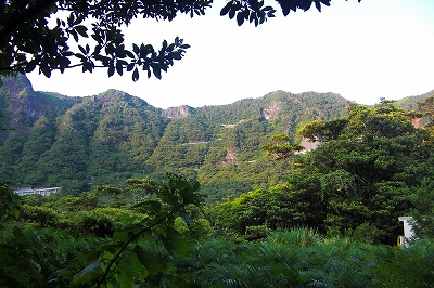 2008-8-2 021.jpg