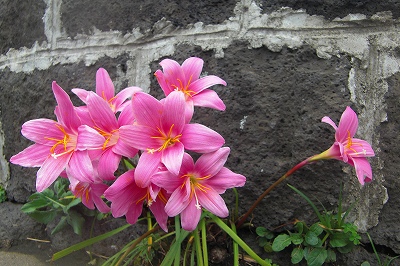 2008-8-22 009.jpg