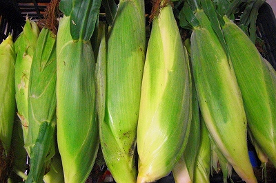 2008-8-28 004.jpg