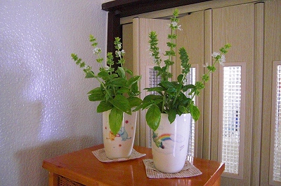 2008-8-30 002.jpg