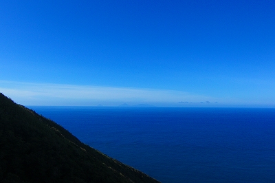 2008-8-6 004.jpg